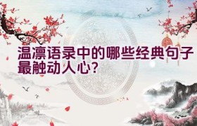 温凛语录中的哪些经典句子最触动人心？