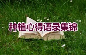 种植心得语录集锦