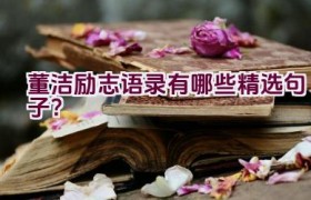 董洁励志语录有哪些精选句子？