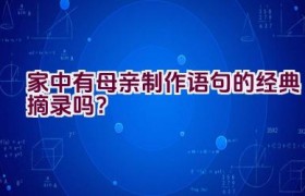 家中有母亲制作语句的经典摘录吗？