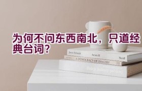“为何不问东西南北，只道经典台词？”