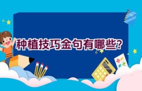 种植技巧金句有哪些？