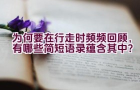 “为何要在行走时频频回顾，有哪些简短语录蕴含其中？”