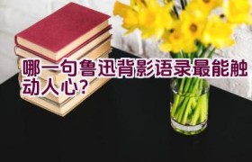 哪一句鲁迅背影语录最能触动人心？