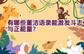 有哪些董洁语录能激发斗志与正能量？