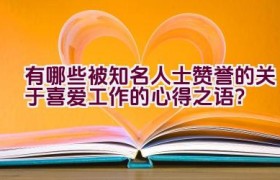 有哪些被知名人士赞誉的关于喜爱工作的心得之语？