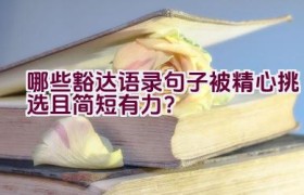哪些豁达语录句子被精心挑选且简短有力？