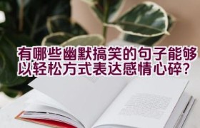 “有哪些幽默搞笑的句子能够以轻松方式表达感情心碎？”