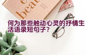 何为那些触动心灵的抒情生活语录短句子？