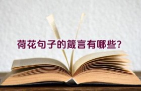荷花句子的箴言有哪些？