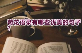 荷花语录有哪些优美的句子？