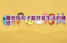 哪些短句子能抒发生活的情感？