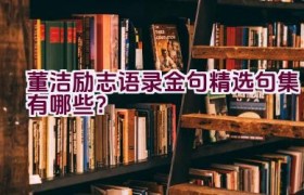 董洁励志语录金句精选句集有哪些？