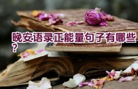 晚安语录正能量句子有哪些？