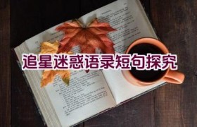追星迷惑语录短句探究