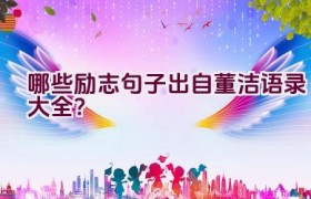 哪些励志句子出自董洁语录大全？