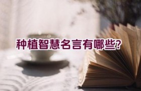 种植智慧名言有哪些？