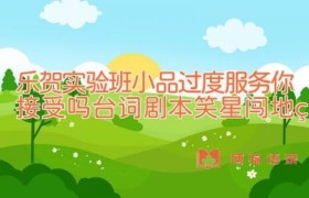 乐贺实验班小品过度服务你接受吗台词剧本 笑星闯地球