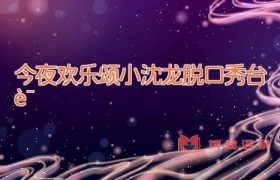 今夜欢乐颂小沈龙脱口秀台词