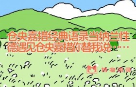 仓央嘉措经典语录_当纳兰性德遇见仓央嘉措(你替我说……)