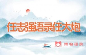 任志强语录（任大炮）