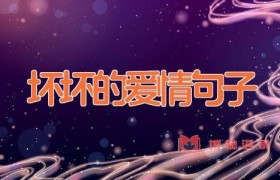 坏坏的爱情句子