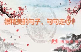 很精美的句子，句句走心！