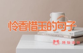 怜香惜玉的句子
