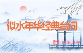 似水年华经典台词