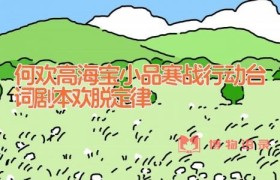 何欢高海宝小品寒战行动台词剧本 欢脱定律