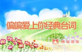偏偏爱上你经典台词