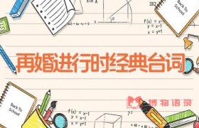 再婚进行时经典台词