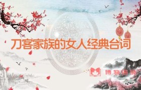 刀客家族的女人经典台词