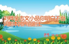 刘桦金志文小品你明白不台词剧本 跨界喜剧王
