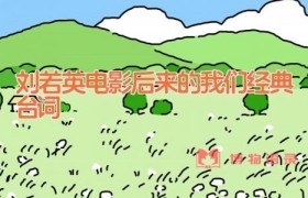 刘若英电影后来的我们经典台词