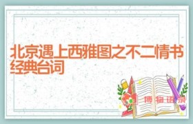北京遇上西雅图之不二情书经典台词