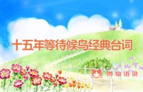 十五年等待候鸟经典台词