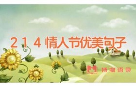 2.14情人节优美句子