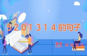 5201314的句子