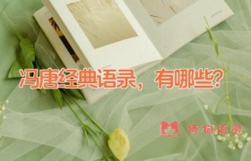 冯唐经典语录，有哪些？