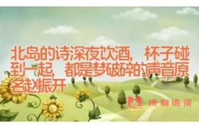 北岛的诗_深夜饮酒,杯子碰到一起,都是梦破碎的声音(原名赵振开)