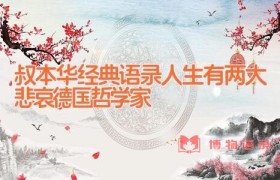 叔本华经典语录_人生有两大悲哀(德国哲学家)