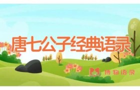 唐七公子经典语录