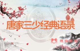 唐家三少经典语录