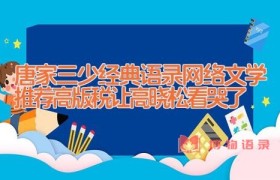 唐家三少经典语录_网络文学推荐(高版税让高晓松看哭了)