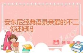 安东尼经典语录(亲爱的不二,你还好吗)
