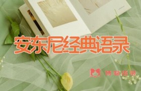 安东尼经典语录