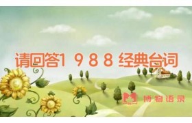 请回答1988经典台词