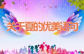 关于夏的优美语句
