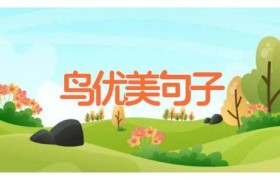 鸟优美句子